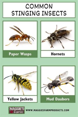  Hornet: Can This Tiny Stinging Beast Teach Us About Societal Structure?